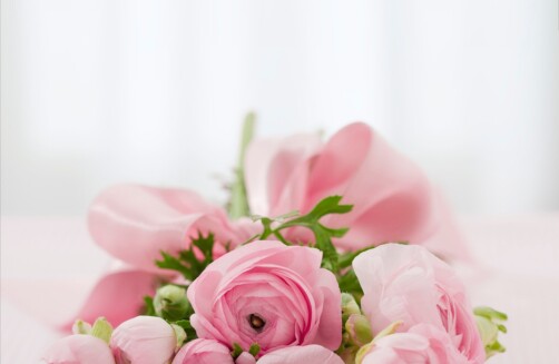 rosa rosa peonia fiori naturale Bouquet Un'esplosione di freschezza: un bouquet di peonie rosa, appena raccolte, impreziosito da foglie verdi, per un regalo che incanta i sensi.