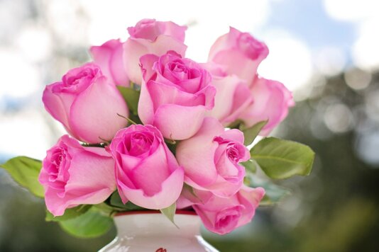 rose profumate La rosa è uno dei fiori che da sempre suscita l'interesse